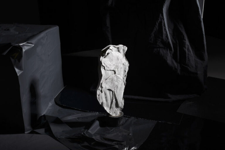 white fossil standing in a black abstract background by artist Stefano Conti