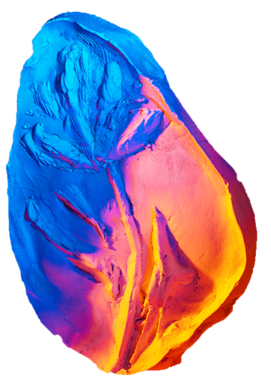 fossil of a leave coloured with red and blue light by artist Stefano Conti
